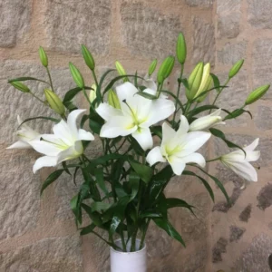 Bouquet Précieux